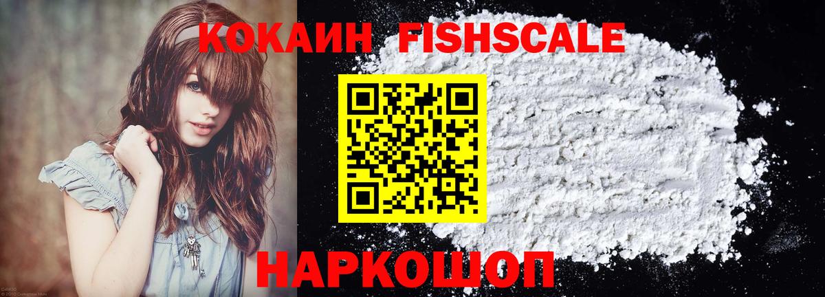 COCAIN Fish Scale  Вход с VPN  Ростов Великий  COCAIN Columbia 