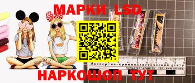 твердый Гатчина