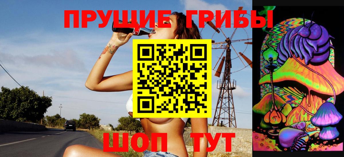 Галлюциногенные грибы GOLDEN TEACHER  Вход с VPN  Ростов Великий  Галлюциногенные грибы Psilocybine cubensis 
