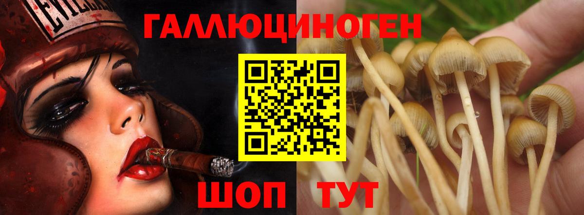 Псилоцибиновые грибы ЛСД Ростов Великий